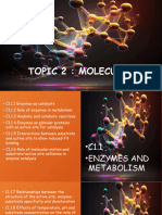 4-C1.1 Enzymes and Metabolism