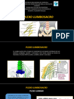 Plexo Lumbosacro. Alteraciones 3.