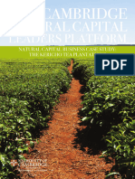 Cambridge Natural Capital Leaders Platform Case Study Kericho Tea