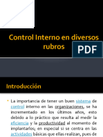 Control Interno en Diversos Rubros Del Balance