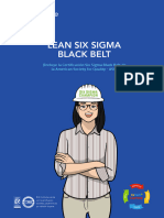 Lean Six Sigma Black Belt