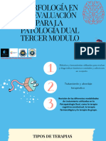 Clase 6 Terapias Aplicadas Al Tratamiento Psicopatología Dual