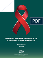 Mapping and Size Estimation Somalia