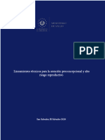 Lineamientostecnicosparalaatencionpreconcepcionalyaltoriesgoreproductivo Acuerdo Ejecutivo 1191 03042024 - v1