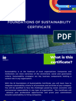 Foundations of Sustainability