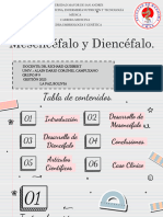 38a2 1rev Mesenc Dienc Coronel Alain