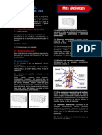 Analisis Obras de Arte Guía