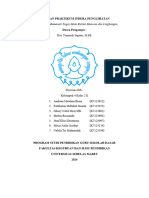 Laporan Praktikum Panca Indera Penglihatan