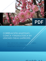 Correlacion Anatomoclinica y Radiologica en Lesiones Óseas Limítrofes