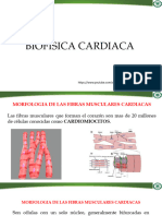 Biofísica Cardíaca