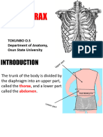 THORAX Complete 200L