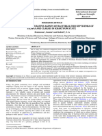 Maimona - DETECTION OF THE CAUSATIVE AGENTS OF BACTERIAL FISH SEPTICEMIA OF TILAPIA