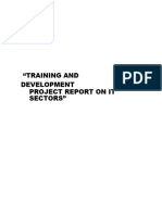 Training and Development Project Report On It Sectors