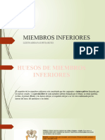 Diapositivas Miembros Inferiores