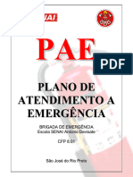 Pae Plano de Atendimento A Emergência