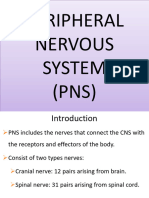 PNS PDF