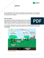 VOD Biologia Os Ciclos Biogeoquímicos 2024