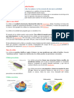 Actividad 7 2024