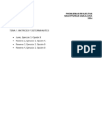 Matrices y Determinantes BIS