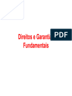 Dir. Constitucional Dir. e Garantias Fundamentais