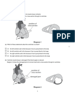 IGedexcel 2.1-2.6 Cell