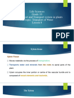 Life Sciences Gr.10 Lesson 49 Support and Transport System in Plants. Transport of Water L8