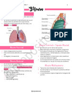 7 - Pleura