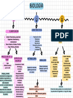 Gráfica Mapa Conceptual Simple Colorido