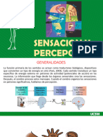 4 Sensacion y Percepcion 5. Conciencia