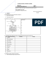 LKPD Sistem Pencernaan 8