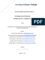 Estructura Del Informe de Problemática Ambiental Final