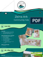 Zeina Ark Cat Identity Kit