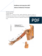 Os Meridianos de Acupuntura MTC Extra