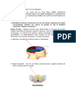 Caso 2 MEDICINA LEGAL