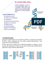 Tema 2 Replicacion