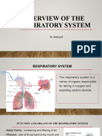 Histology of The Respiratory System