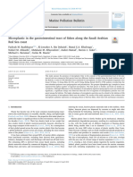 Microplastic in Fish Meal 3