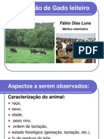 Alimentação de Gado Leiteiro