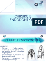 La Chirurgie Endodontique