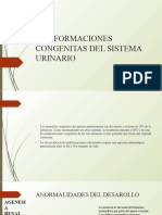 Malformaciones Congenitas Del Su - PPTM