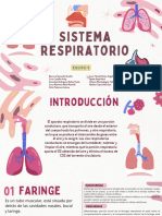 Sistema Respiratorio - 20240606 - 154430 - 0000