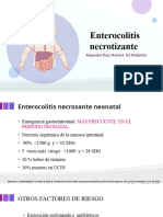 Enterocolitis Necrotizante 03.08.2023