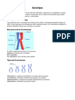 Cariotipo PDF