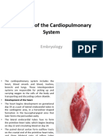 Anatomy of The Cardiopulmonary System