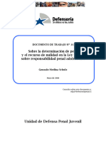 Determinación de La Pena - DPP