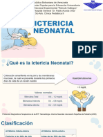 Ictericia Neonatal Melany..