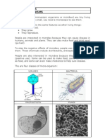 Micro Organisms