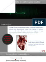 Anatomia e Fisiologia Cadio + ECG