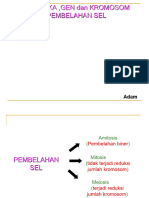 Pembelahan Sel