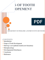 Stages of Tooth Developement